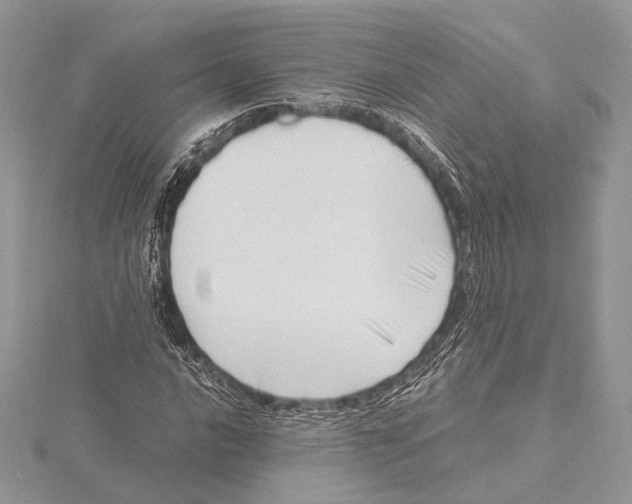 X0000115541016200912041006