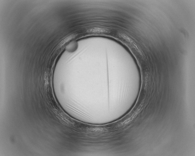 X0000115541017200912041006