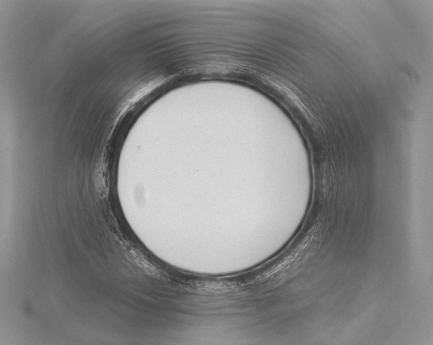 X0000115541018200912041006