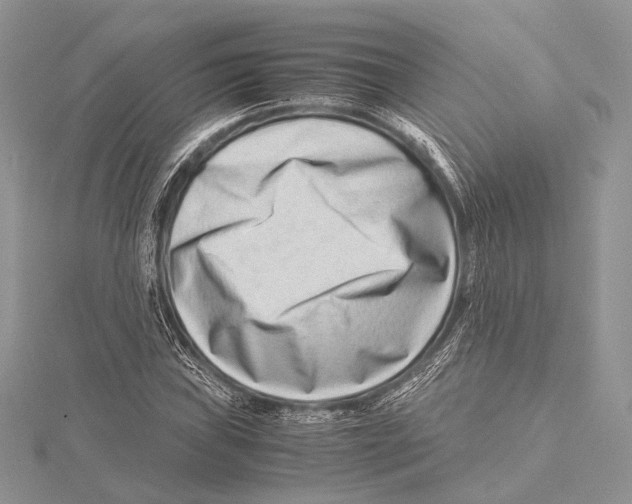 X0000115541019200912041006