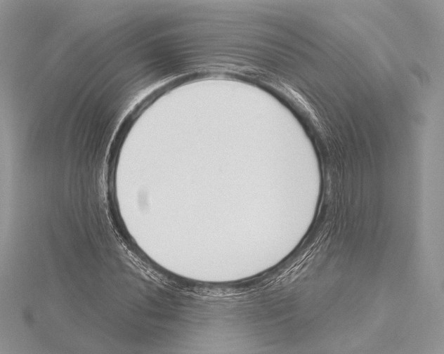 X0000115541020200912041006