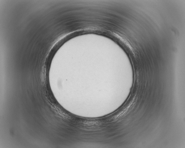 X0000115541021200912041006