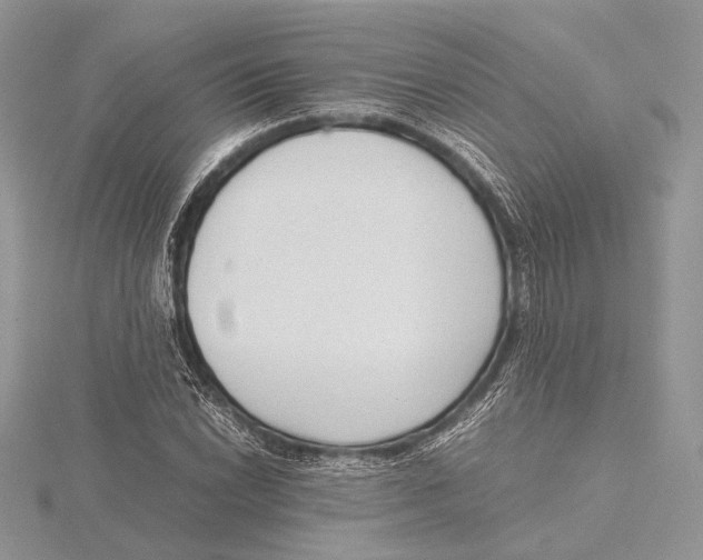 X0000115541022200912041006