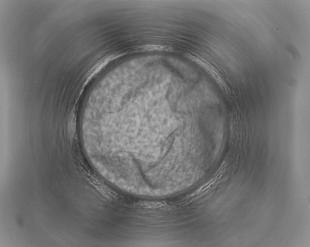 X0000115541023200912041006