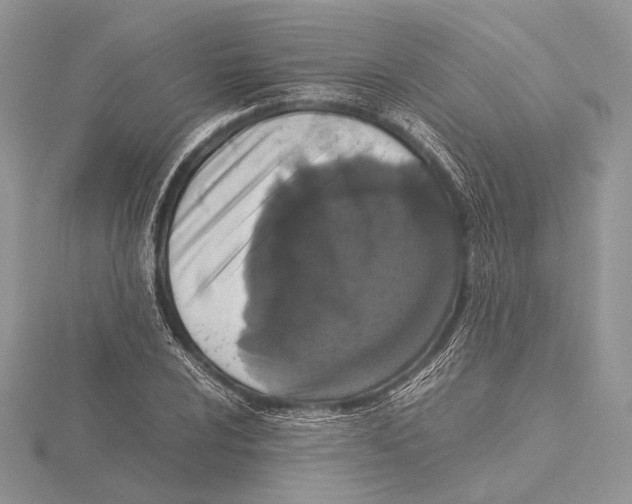 X0000115541024200912041006