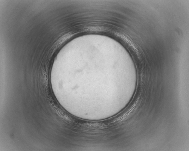 X0000115541025200912041006