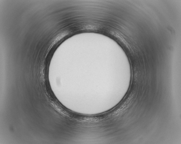 X0000115541026200912041006