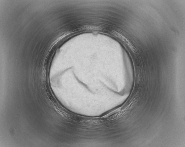 X0000115541027200912041006