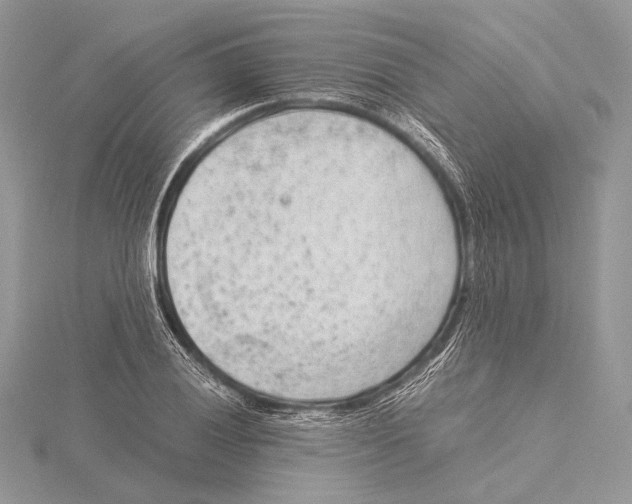 X0000115541028200912041006