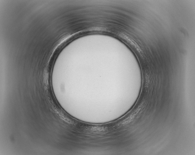 X0000115541029200912041006