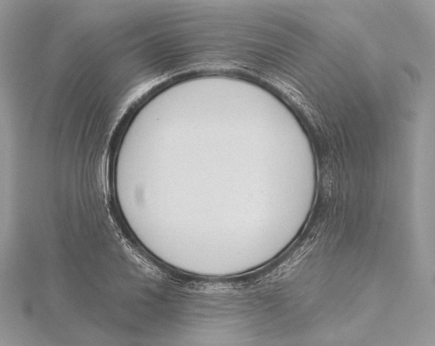 X0000115541030200912041006