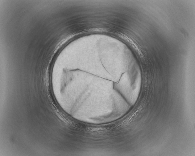 X0000115541031200912041006