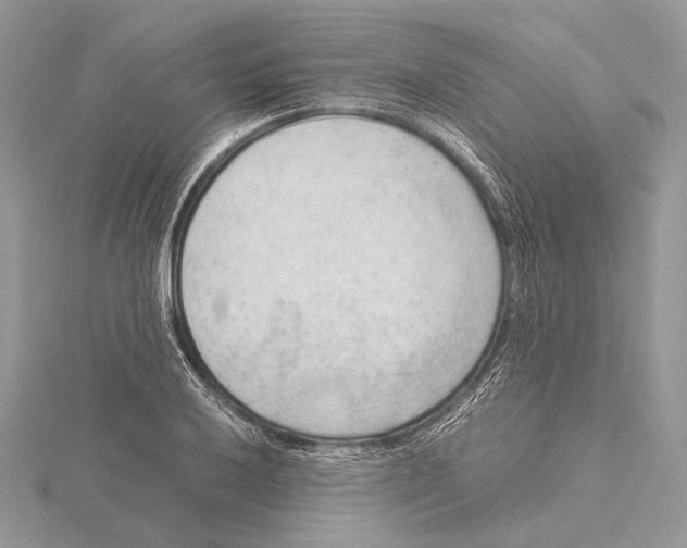 X0000115541032200912041006