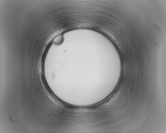 X0000115541034200912041006