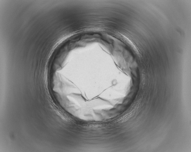 X0000115541035200912041006