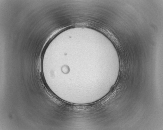 X0000115541036200912041006