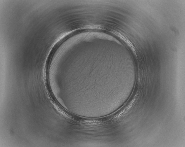 X0000115541037200912041006