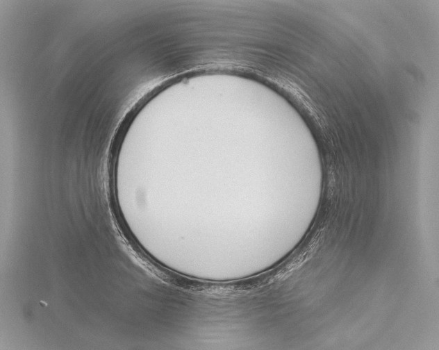 X0000115541038200912041006