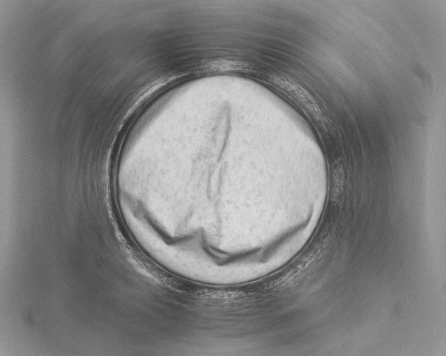 X0000115541039200912041006