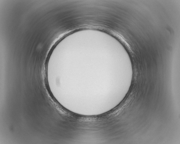 X0000115541040200912041006