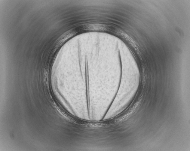 X0000115541041200912041006