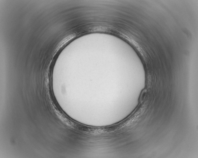 X0000115541042200912041006