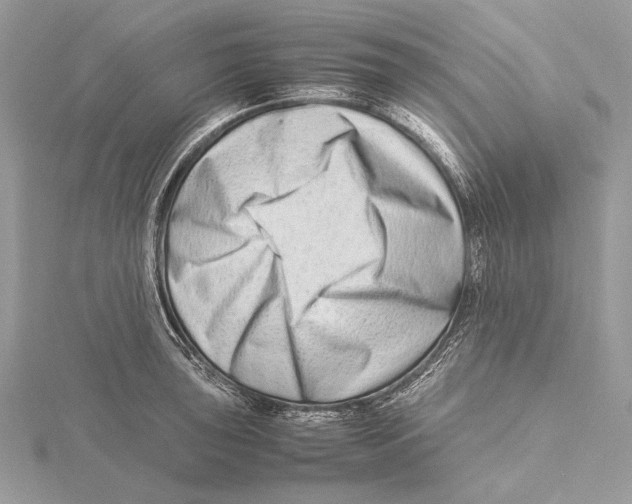 X0000115541043200912041006