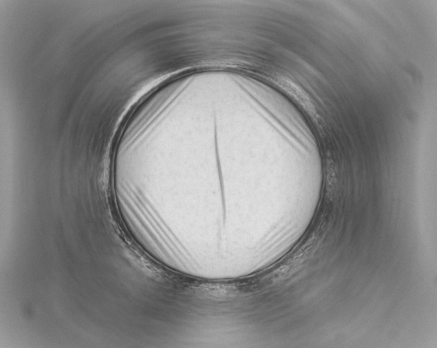 X0000115541044200912041006