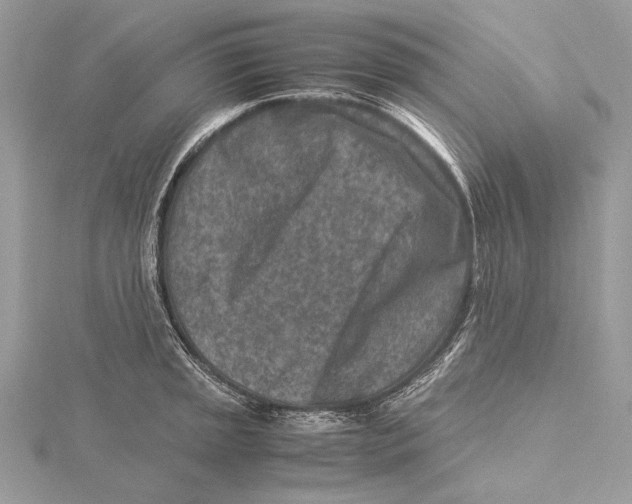 X0000115541045200912041006