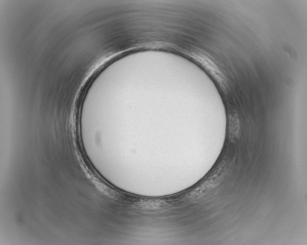 X0000115541046200912041006