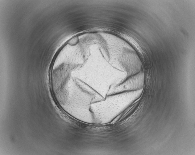 X0000115541047200912041006