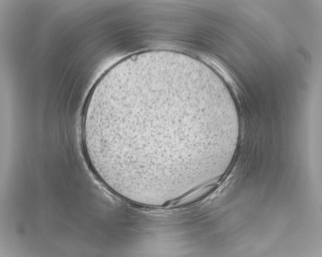 X0000115541048200912041006