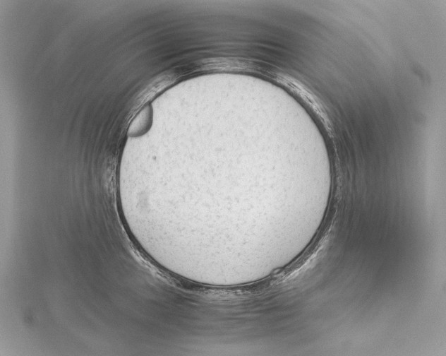 X0000115541049200912041006