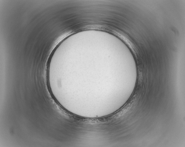 X0000115541050200912041006