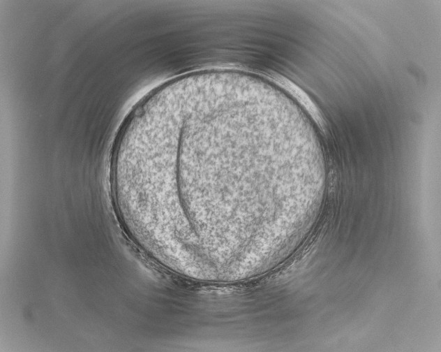 X0000115541051200912041006