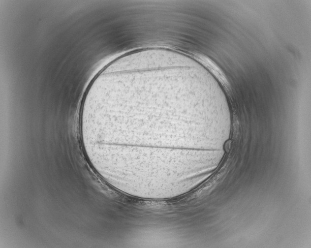 X0000115541052200912041007