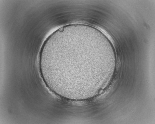 X0000115541053200912041007