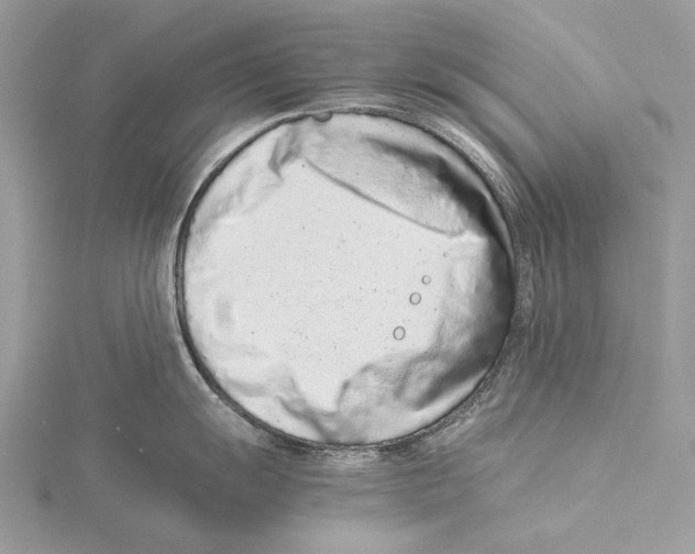 X0000115541055200912041007