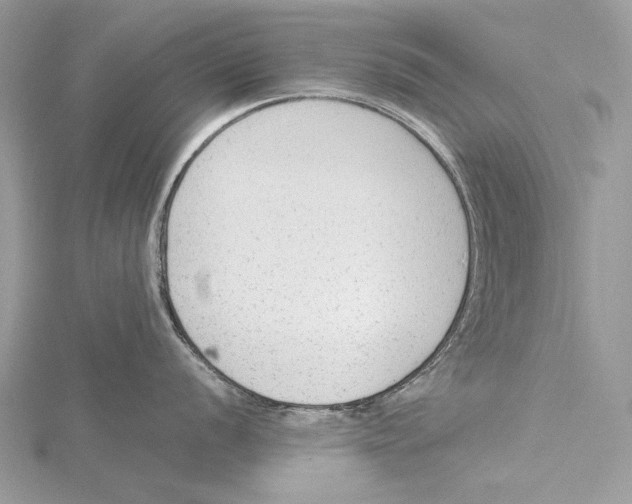 X0000115541056200912041007