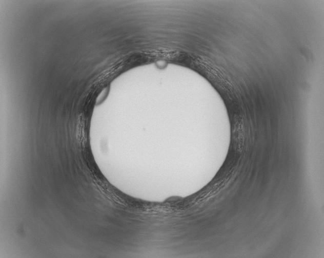 X0000115541058200912041006