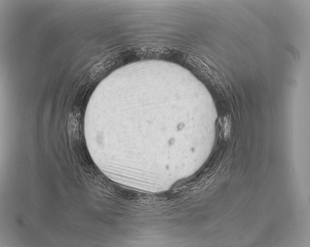 X0000115541059200912041006