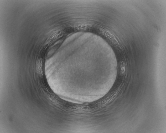 X0000115541060200912041006