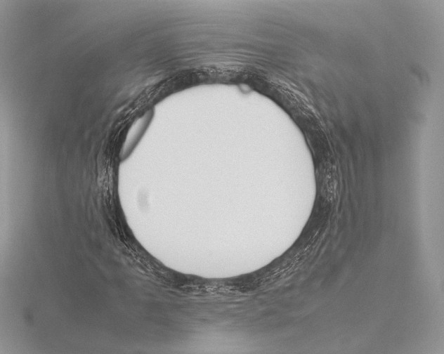 X0000115541061200912041006