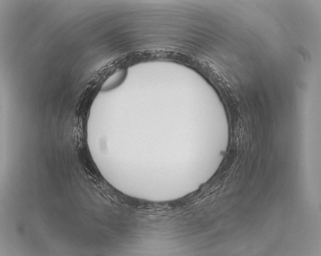 X0000115541062200912041006