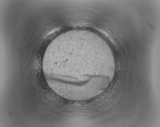 X0000115541063200912041006