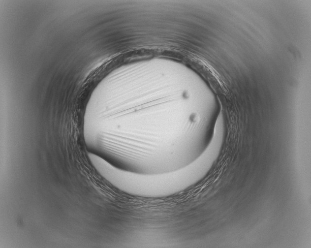 X0000115541064200912041006