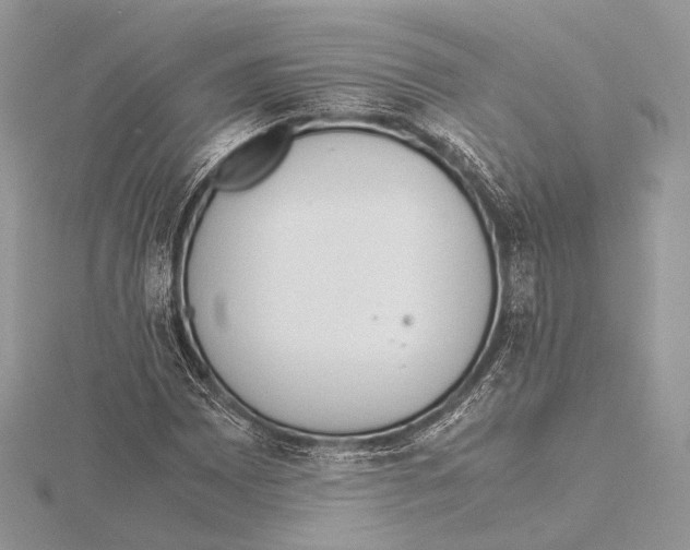 X0000115541065200912041006