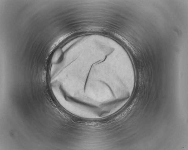 X0000115541066200912041006