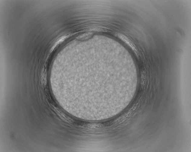 X0000115541067200912041006