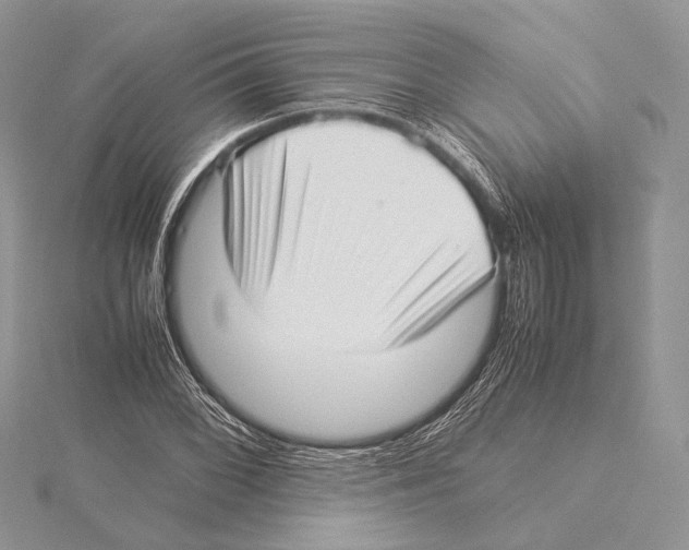 X0000115541068200912041006